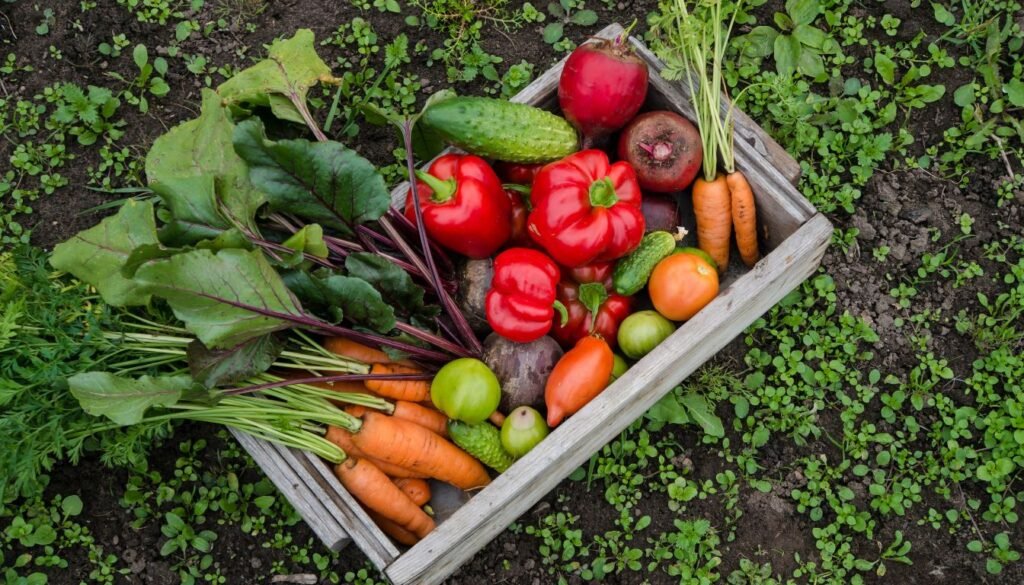 A vibrant and rich vegetable garden captured in high quality photography. Retirement Hobbies That Make Money